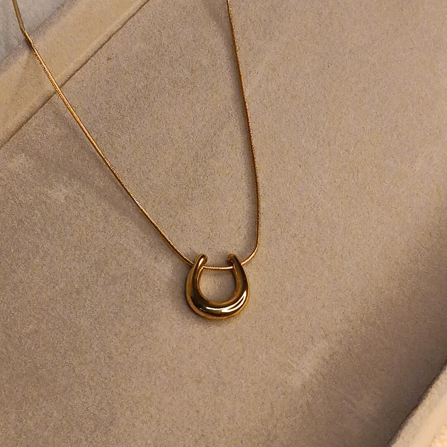 Oval Hoop Necklace